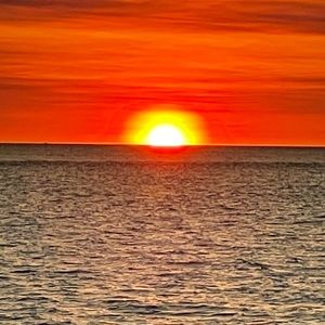 Meet your Posher, Gary